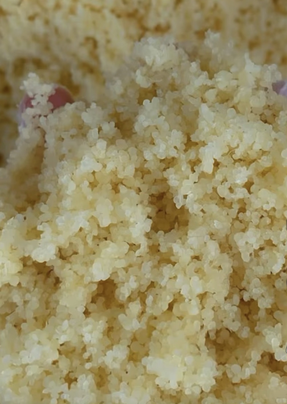 Close view of Attiéké Abodjama grains