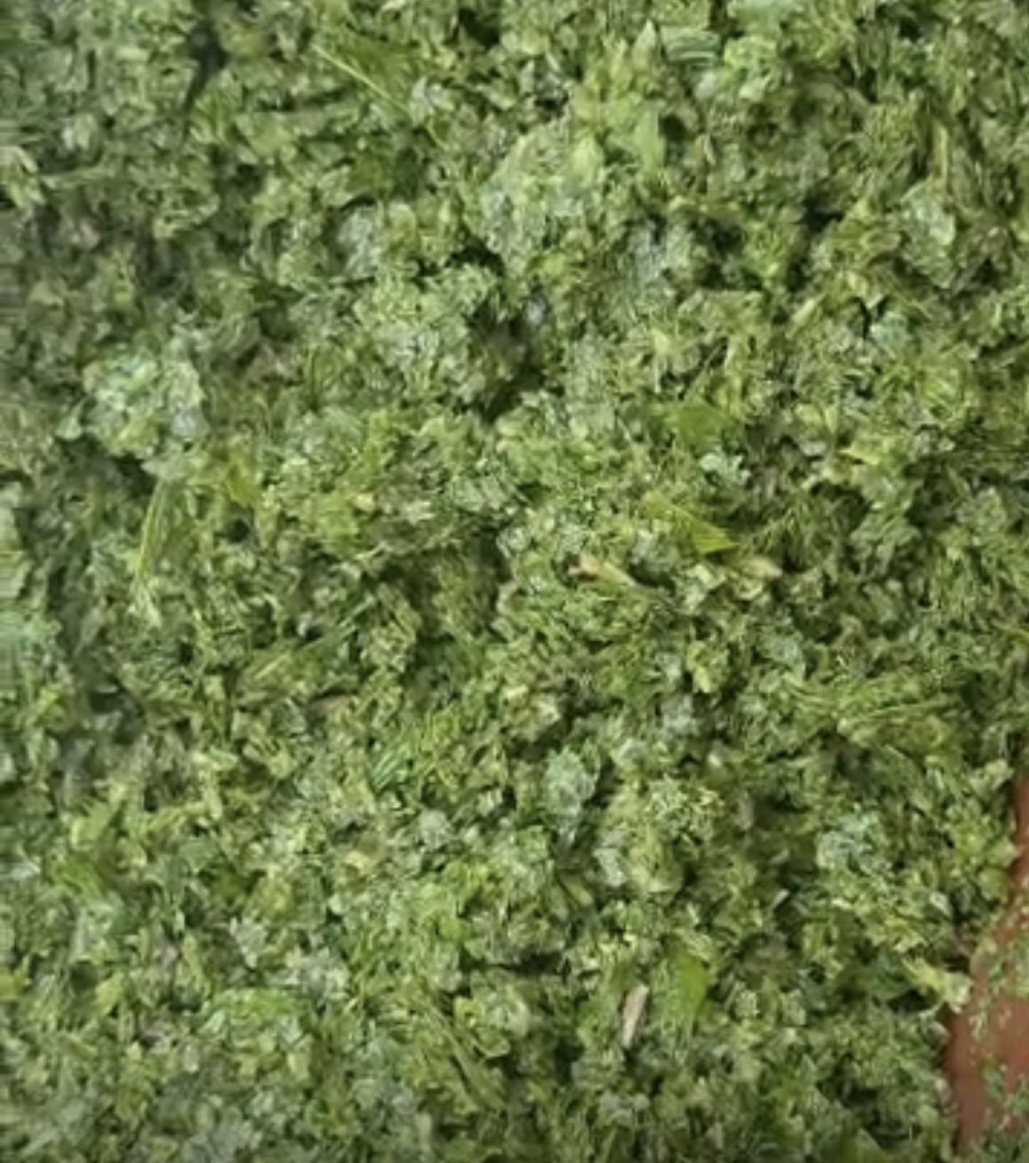Freshly prepared cassava leaves